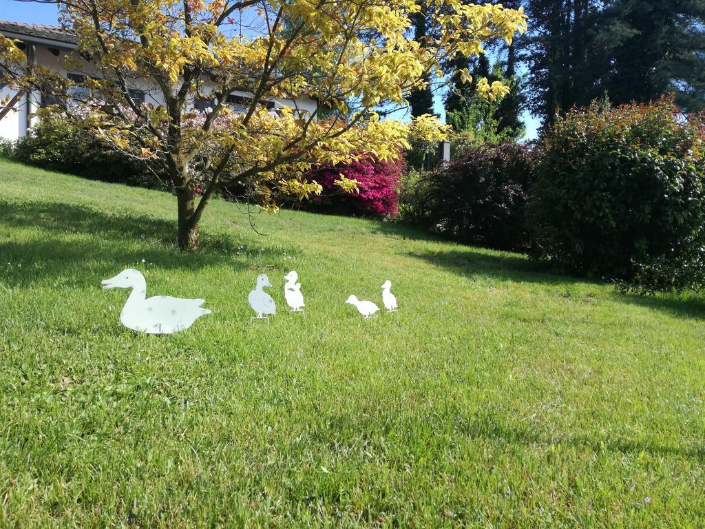 Il Colle Fiorito Bed and Breakfast Oleggio Castello Buitenkant foto